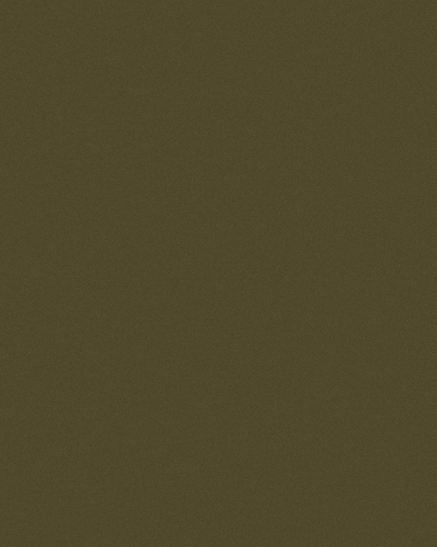 Rough Moses — Metallic laminate