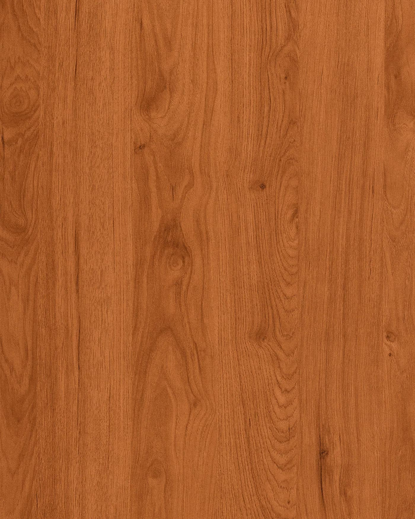 Regal Oak — Wooden laminate